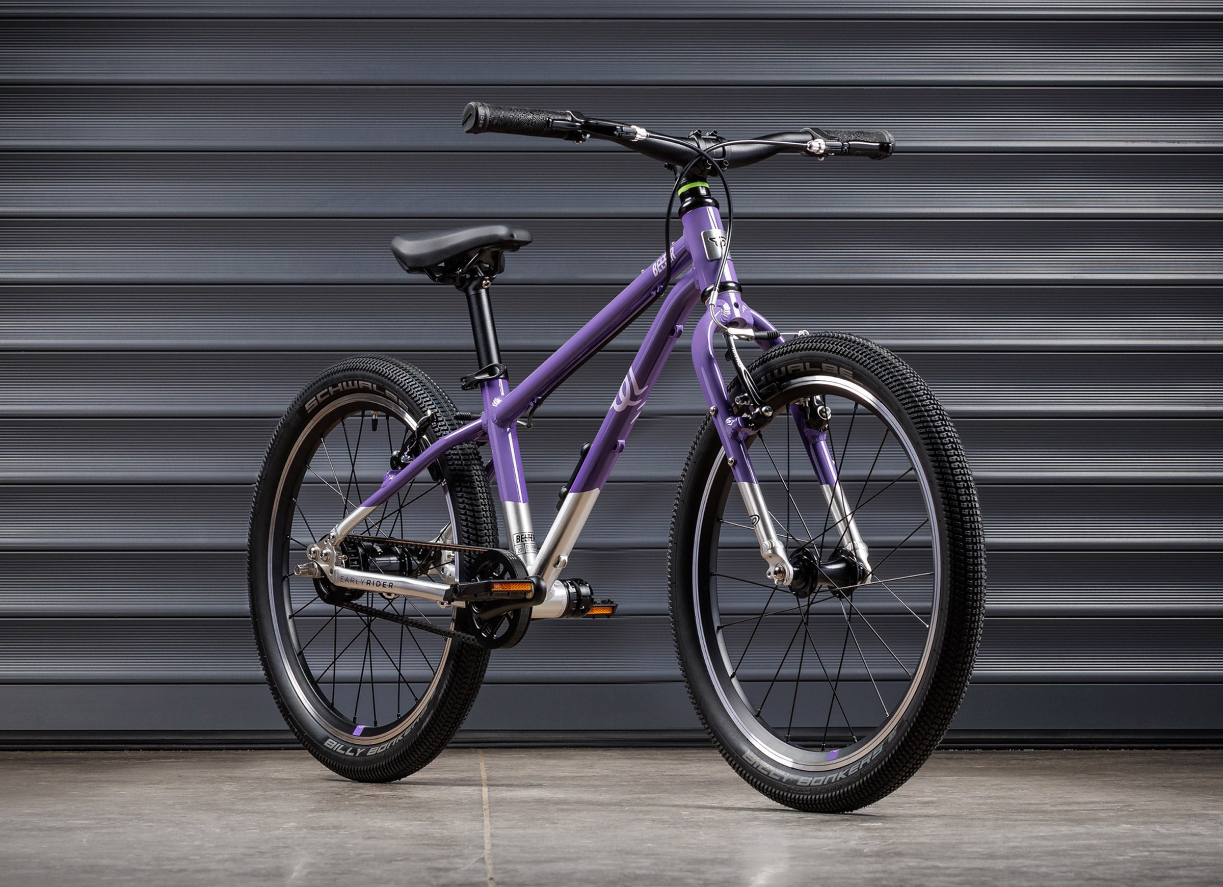 #color_electric-purple