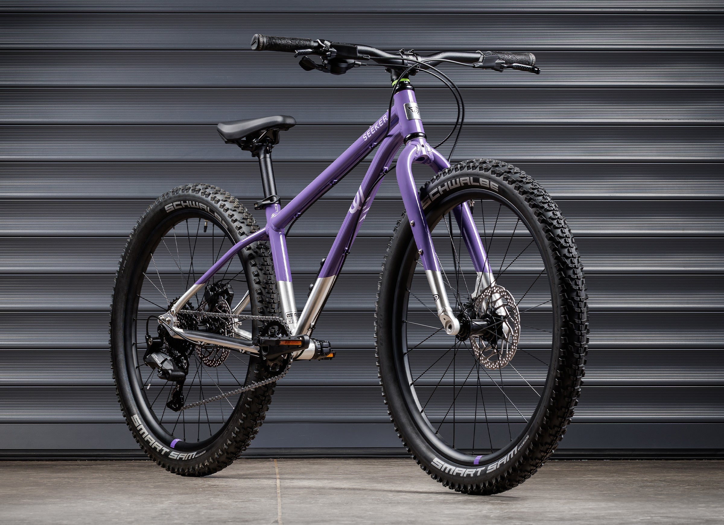 #color_electric-purple