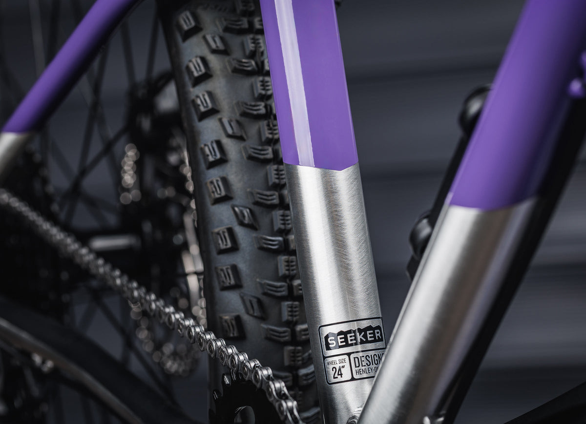 #color_electric-purple