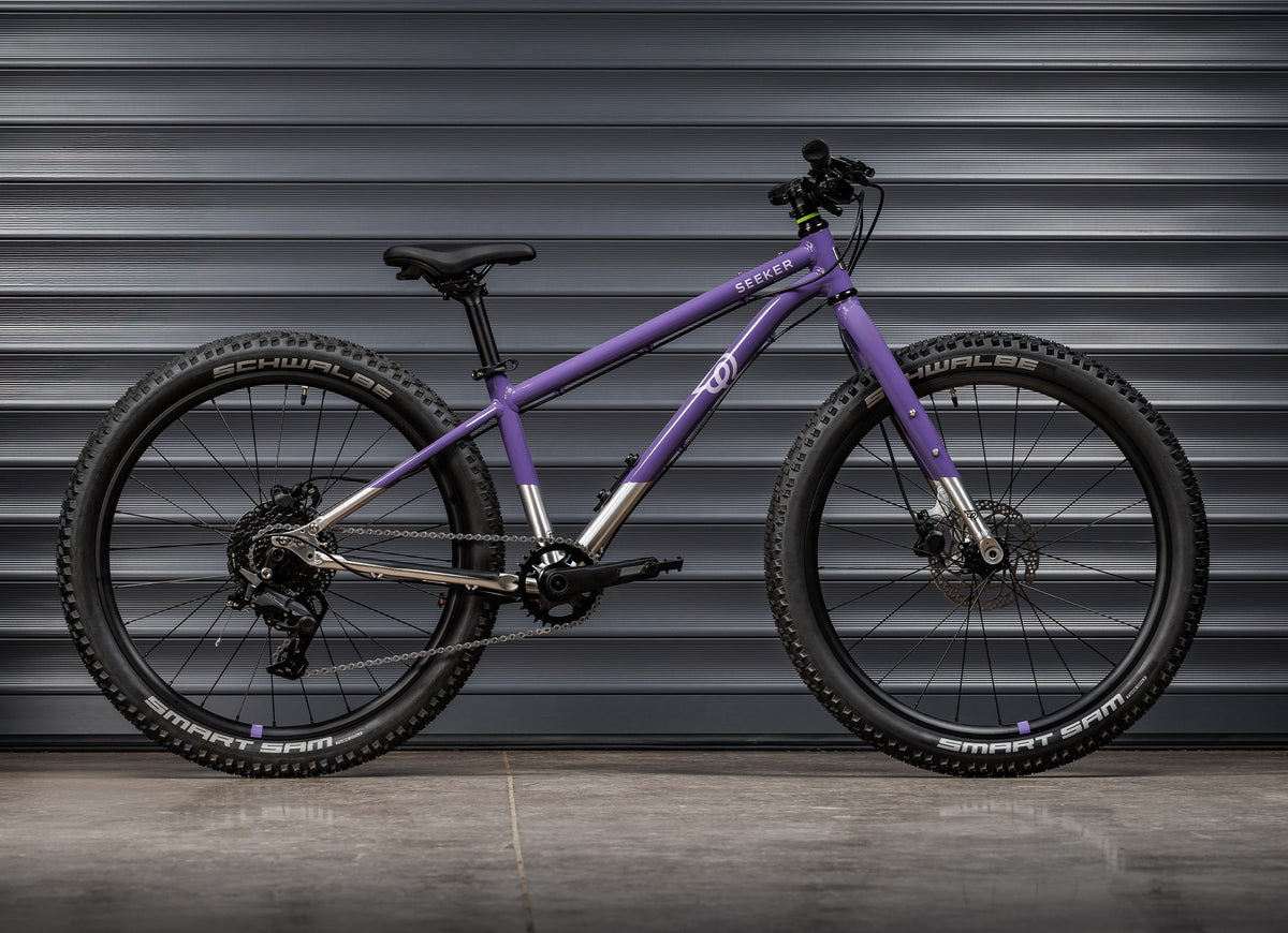 #color_electric-purple