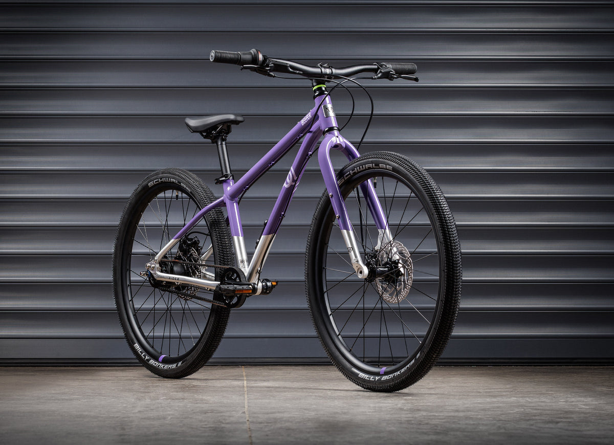 #color_electric-purple