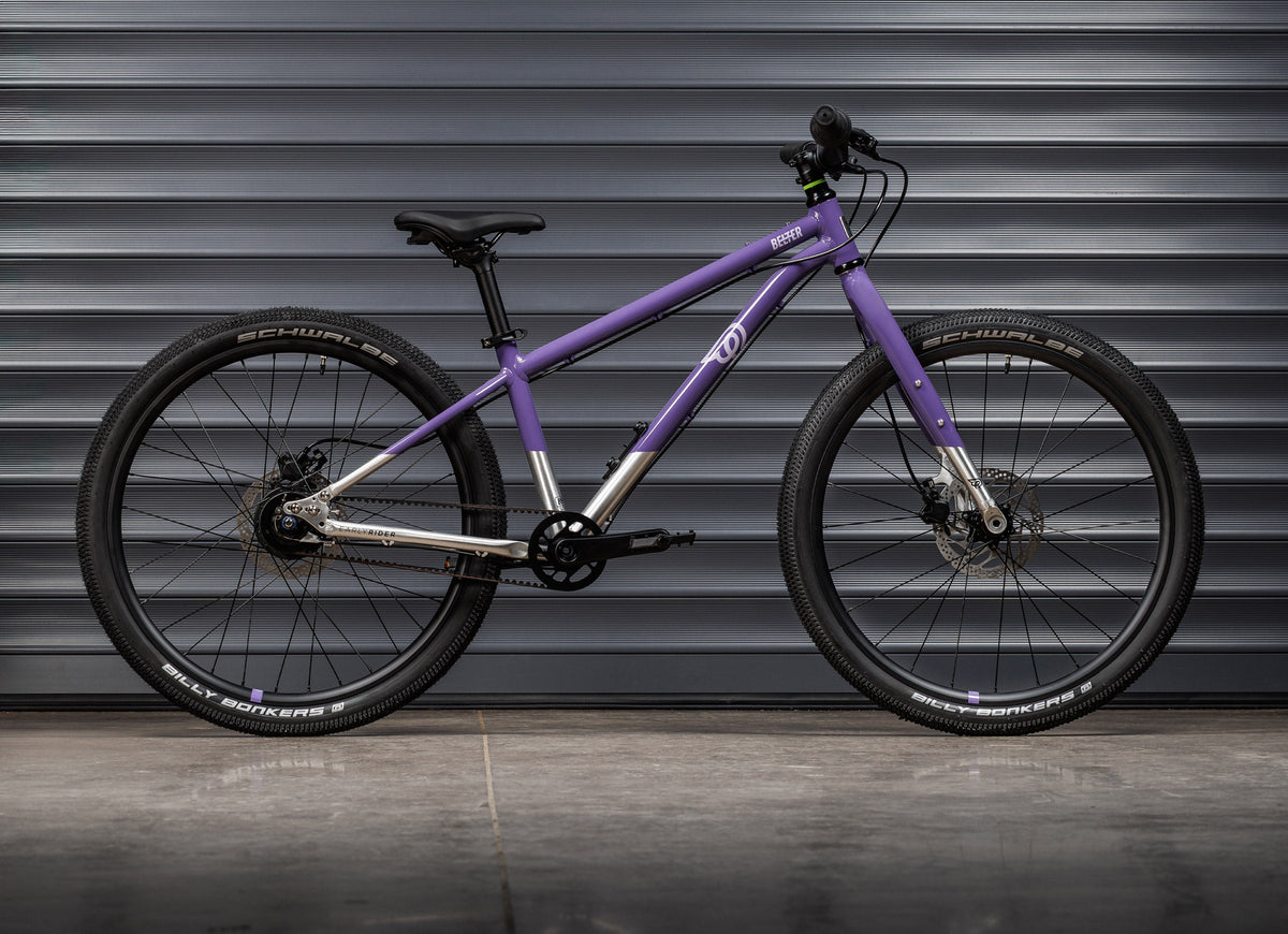 #color_electric-purple