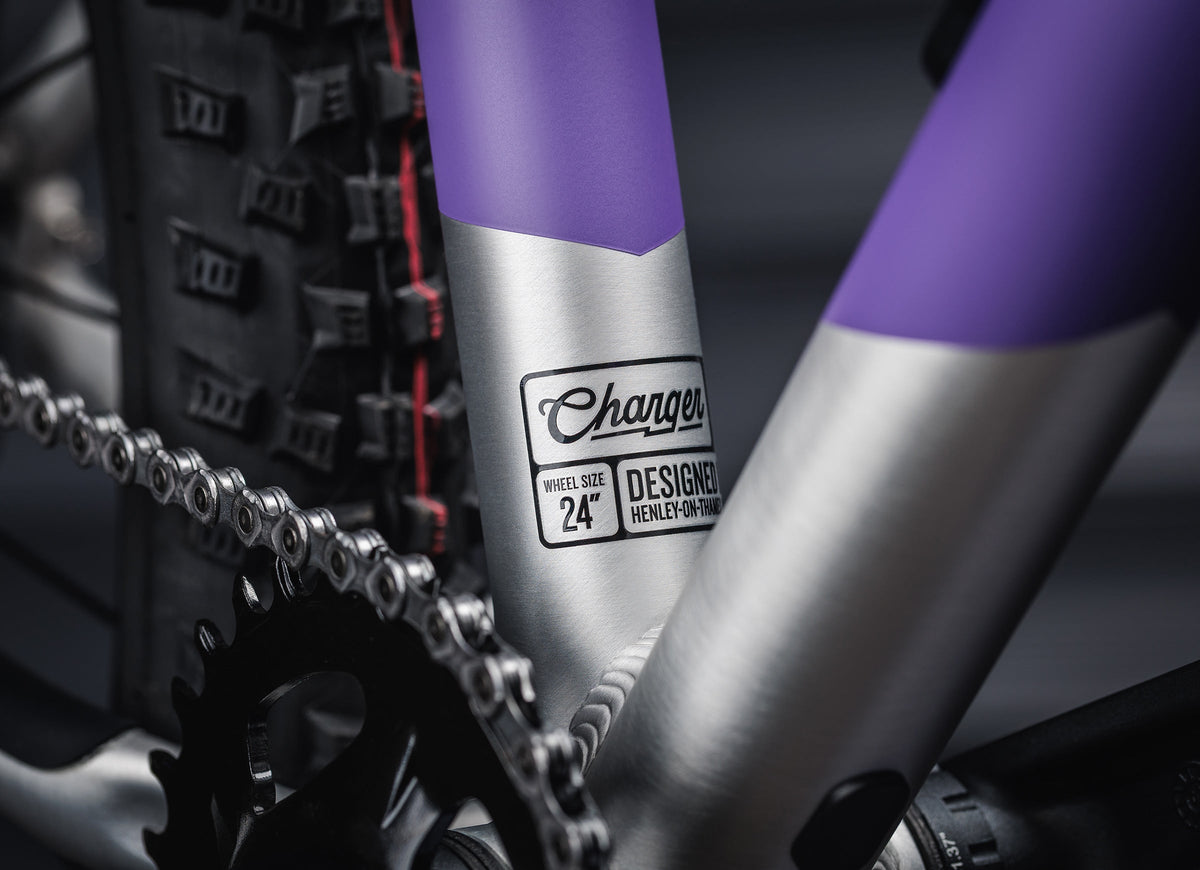 #color_electric-purple