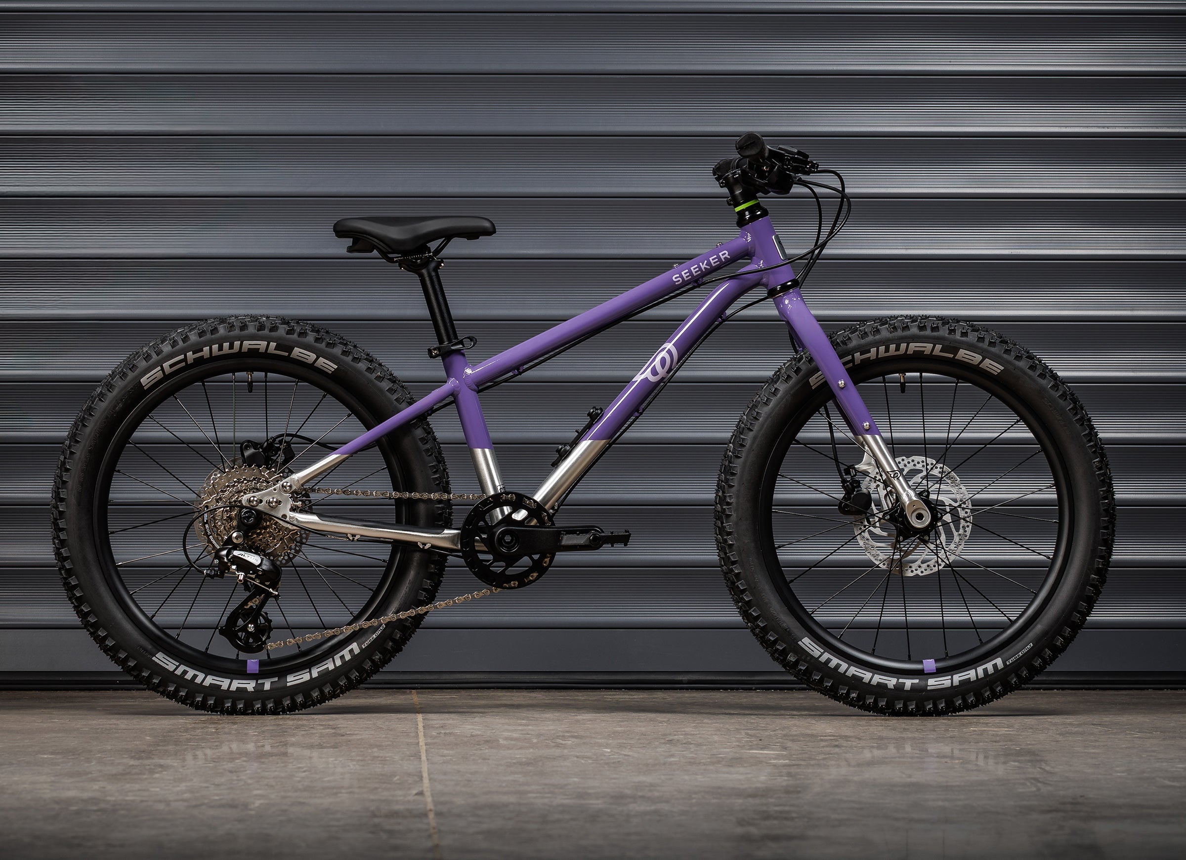 #color_electric-purple
